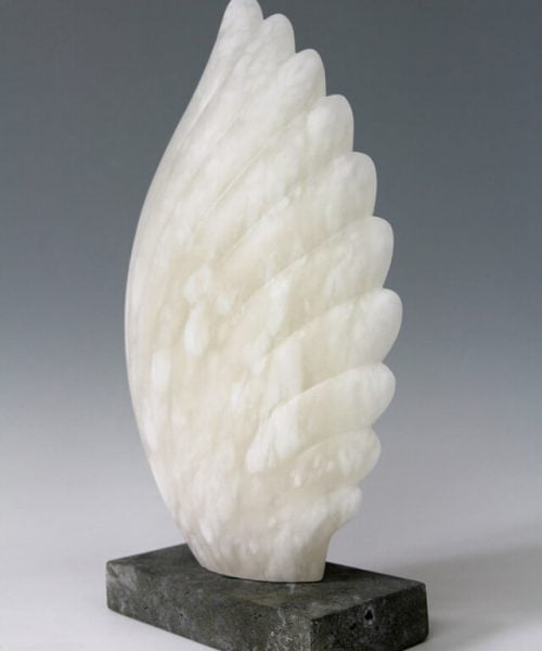 Jude Tucker | Lumina