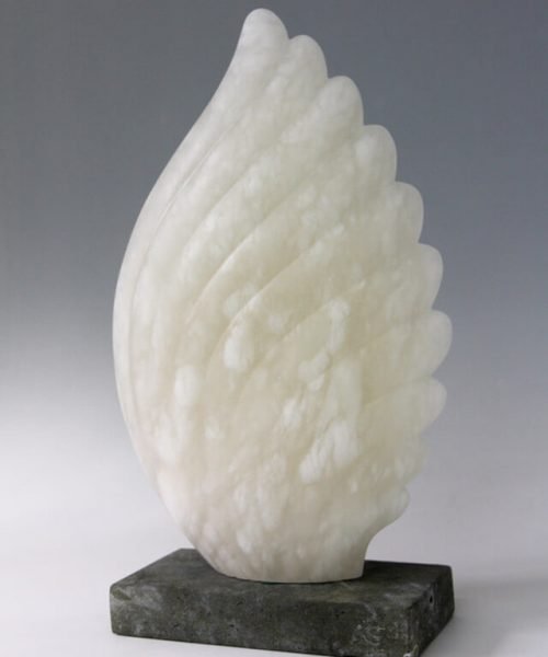 Jude Tucker | Lumina