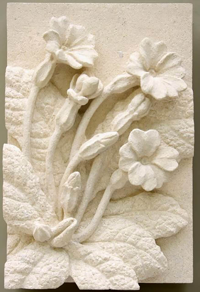 Jude Tucker | Primrose