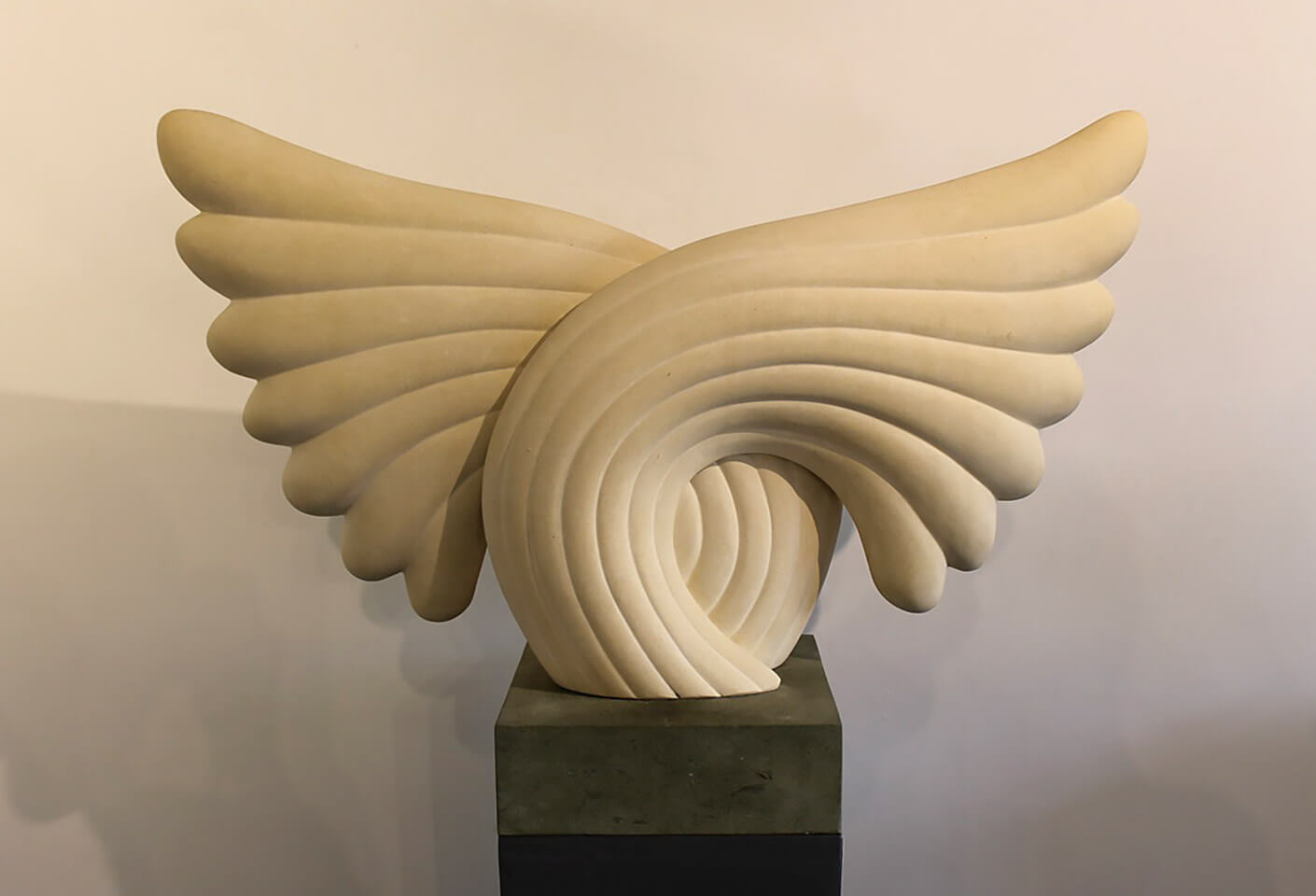 Jude Tucker | Salutation