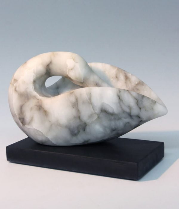 Jude Tucker | Snow Goose