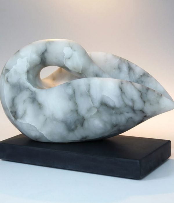 Jude Tucker | Snow Goose