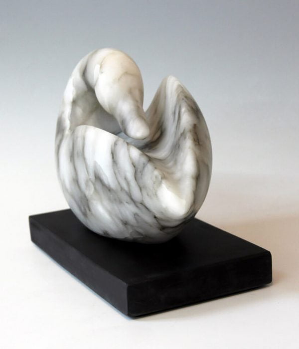 Jude Tucker | Snow Goose