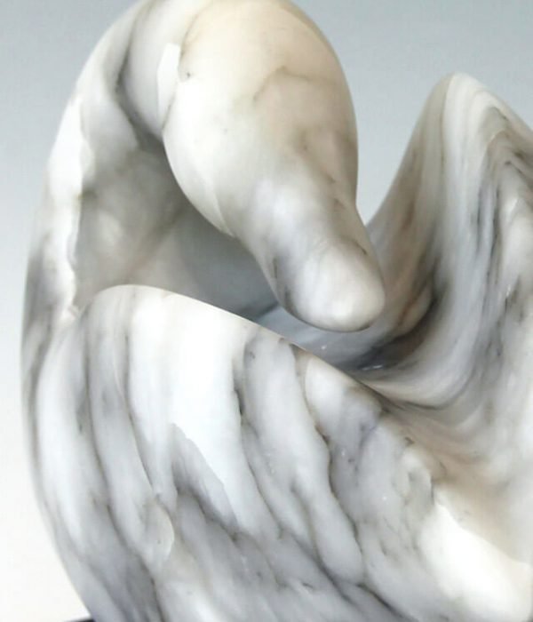 Jude Tucker | Snow Goose