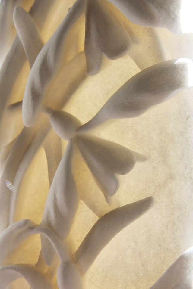 Jude Tucker | Snowdrops