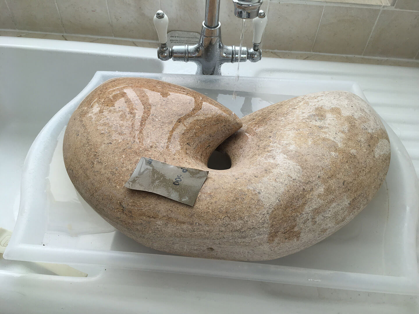 Jude Tucker | Ephydra in progress